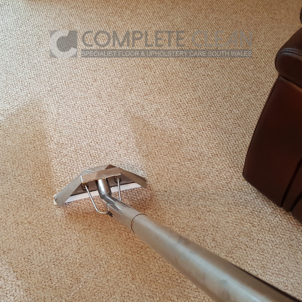 ba-1 Carpet Before & After Photo During Cleaning