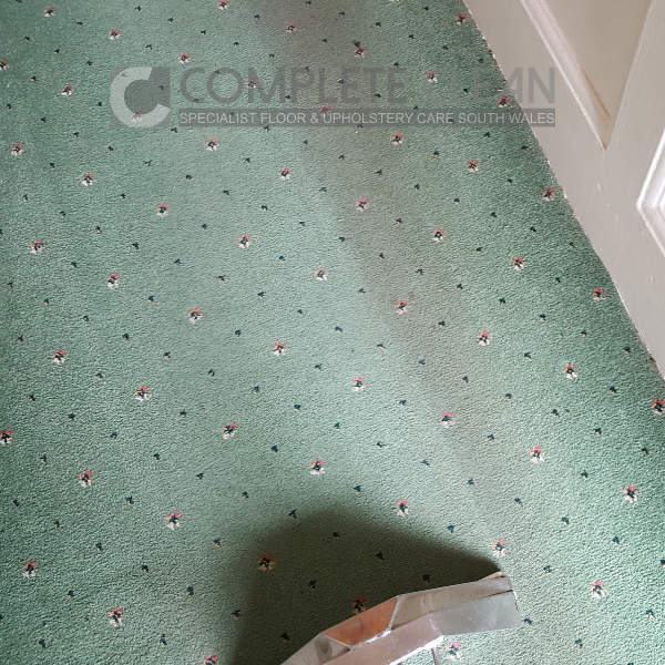 ba-2 Carpet Before & After Photo During Cleaning