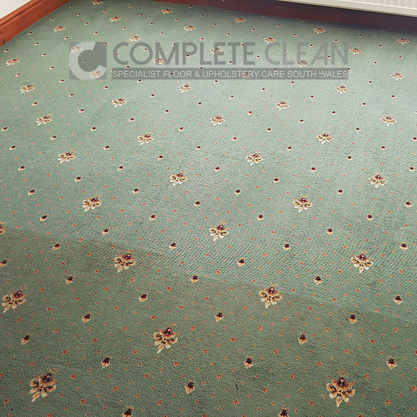 ba-3 Carpet Before & After Photo During Cleaning