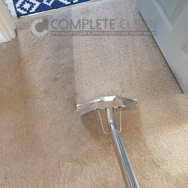 ba-5 Carpet Before & After Photo During Cleaning