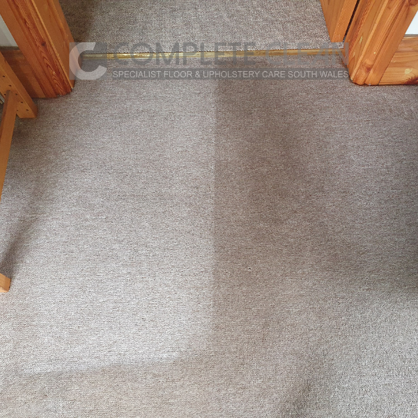 ba-6 Carpet Before & After Photo During Cleaning