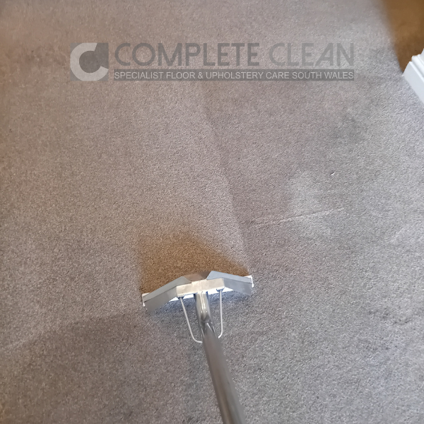 ba-8 Carpet Before & After Photo During Cleaning